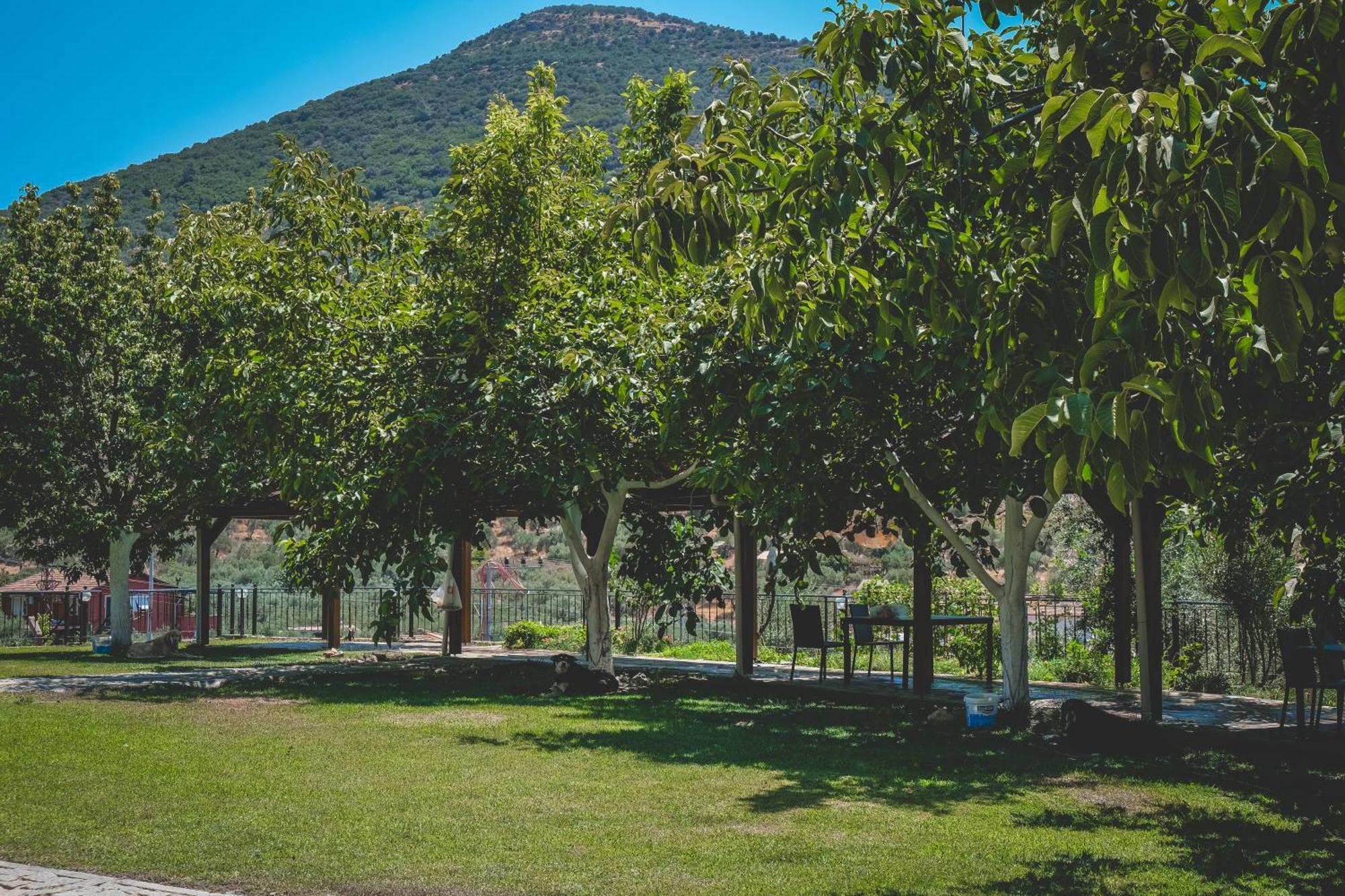 Natureland Efes Pension Selçuk Eksteriør billede