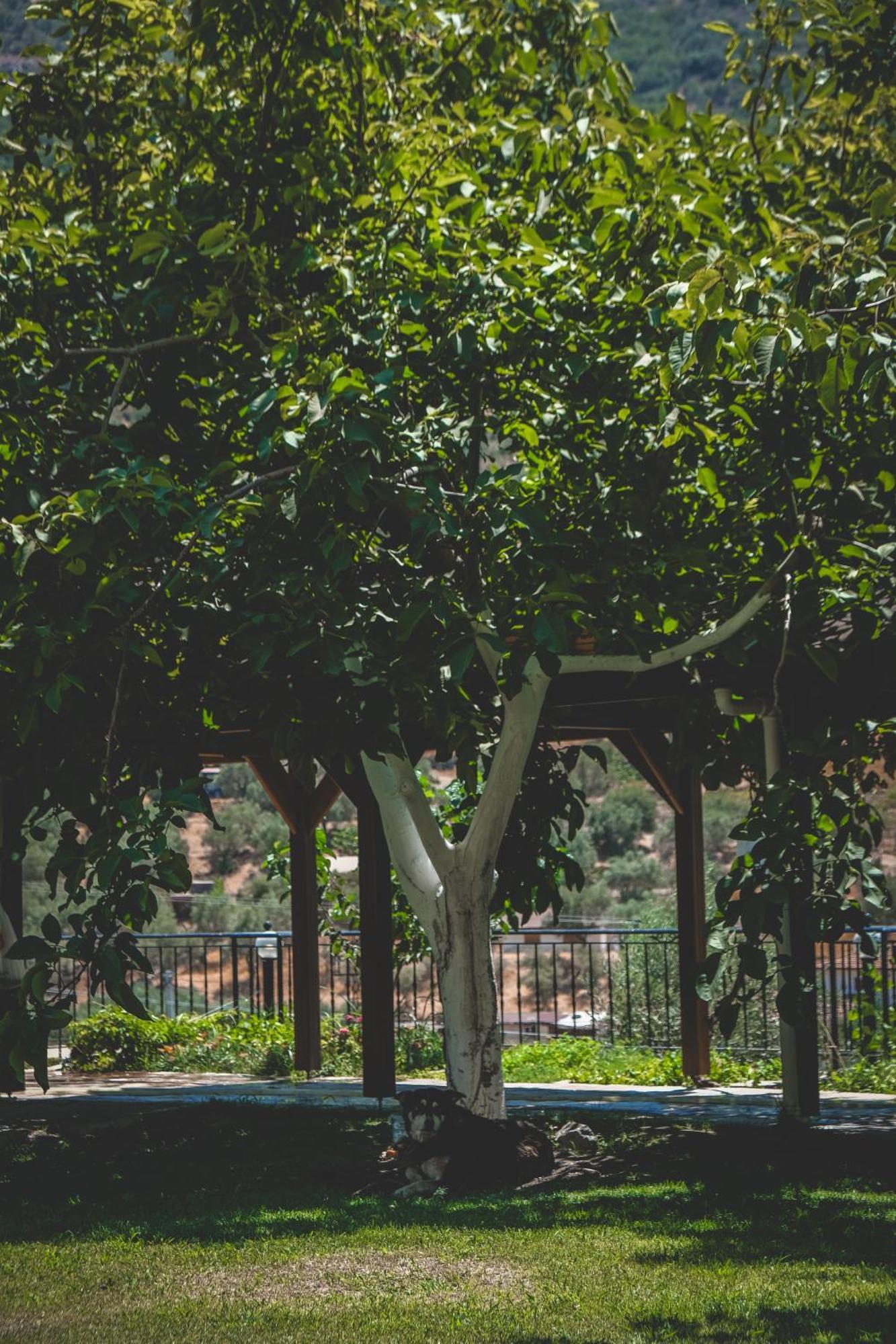 Natureland Efes Pension Selçuk Eksteriør billede
