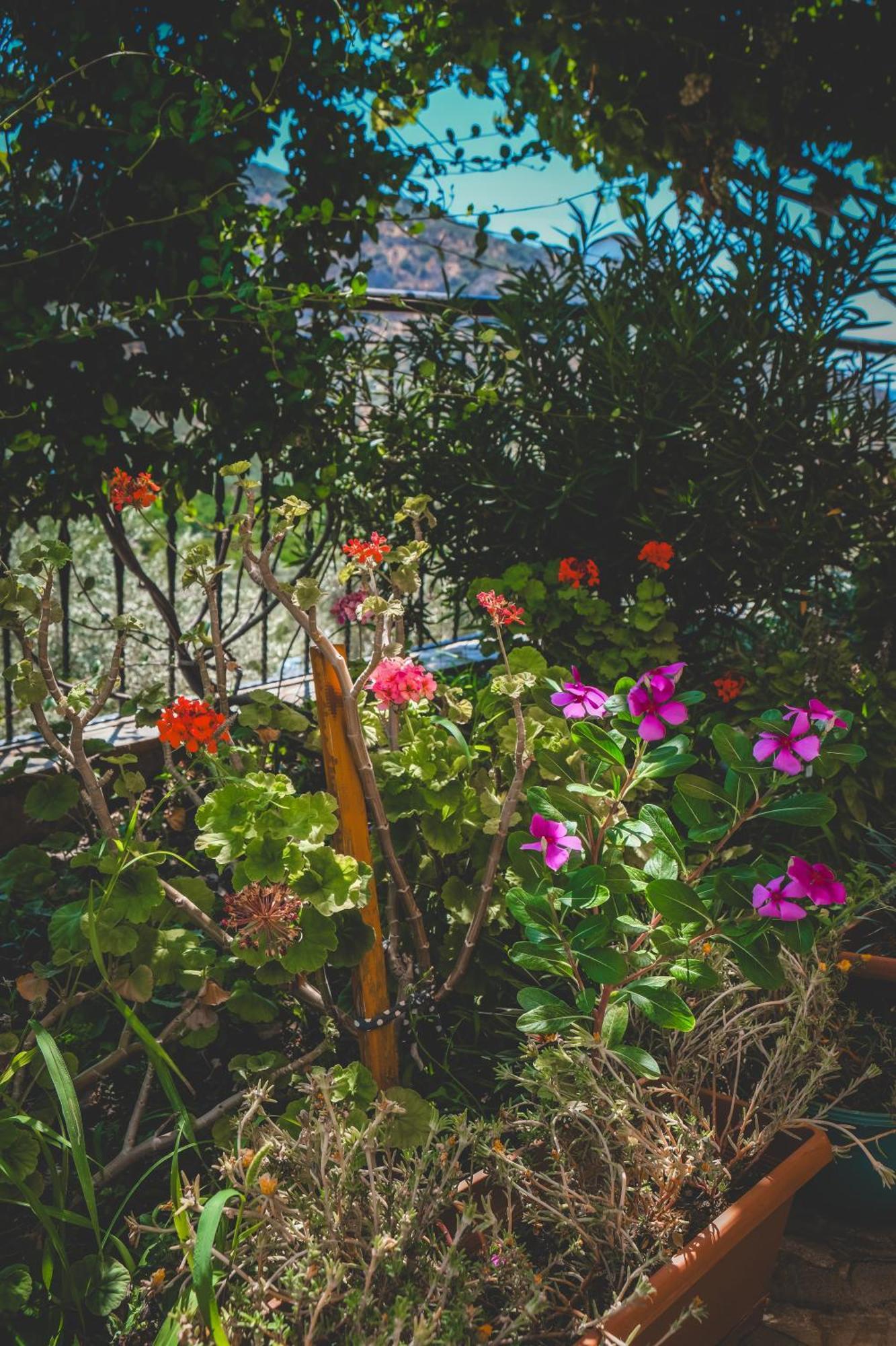 Natureland Efes Pension Selçuk Eksteriør billede